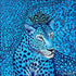 Feline silk scarf 110x110 cm