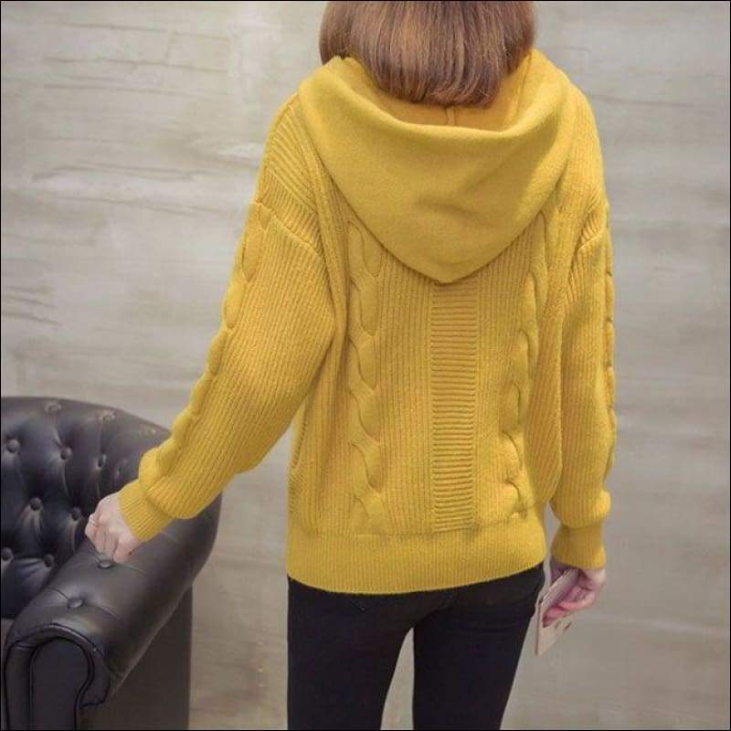 Hooded Design Long Sleeve Knitwear - Petite Tops