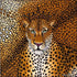 Jaguar silk scarf 45x45 cm
