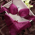 Lace Thin Deep V Solid Color Bra Panties Set