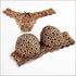 Leopard Push Up Bra And Lace Hollow Out Underwear Panty Set