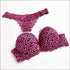 Leopard Push Up Bra And Lace Hollow Out Underwear Panty Set