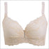 Plus Size Underwire Lace Push Up Bra