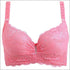 Plus Size Underwire Lace Push Up Bra