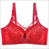Push-up Sexy Lace Ultra-thin Bra
