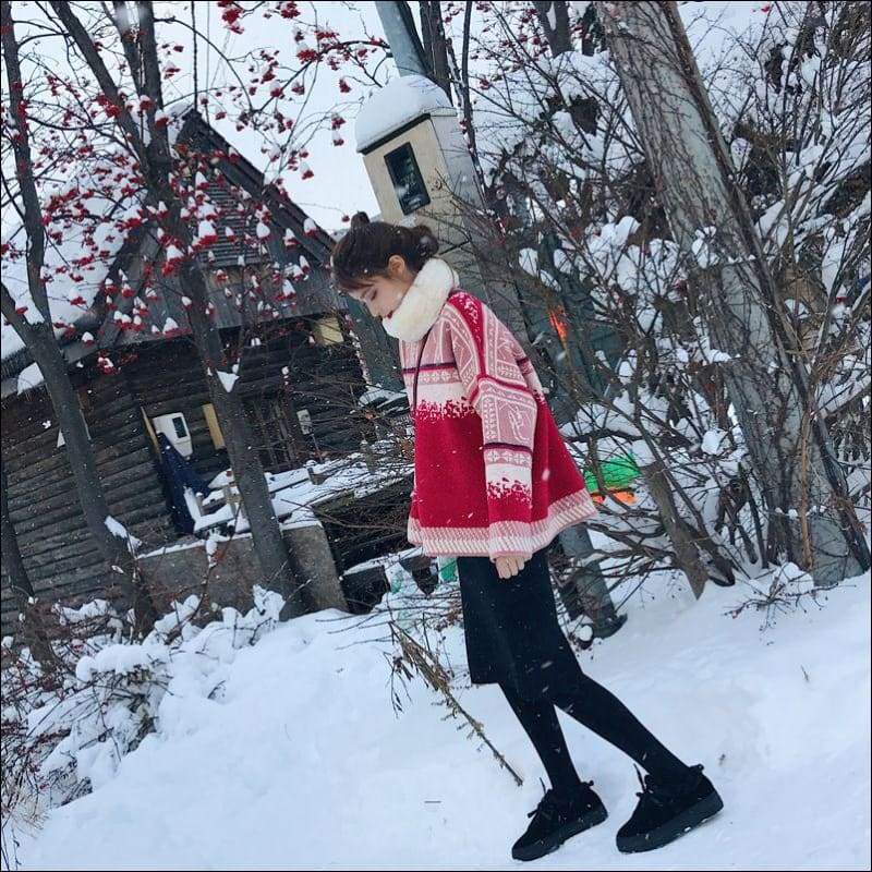 Red Thickening Sweater Christmas Element Retro - F / Red - 