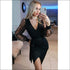 Rhea Organza Animal Mesh Sleeves Dress