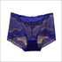 See-through Lace Lady Plus Size Classic Briefs
