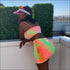 Sexy V Neck Drawstring Tie Dye Camisole Tight Skirt Two-piece Set