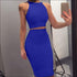 Sleeveless Crop Top and Bodycon Skirt Fashion Two Pieces Sets