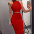 Sleeveless Crop Top and Bodycon Skirt Fashion Two Pieces Sets