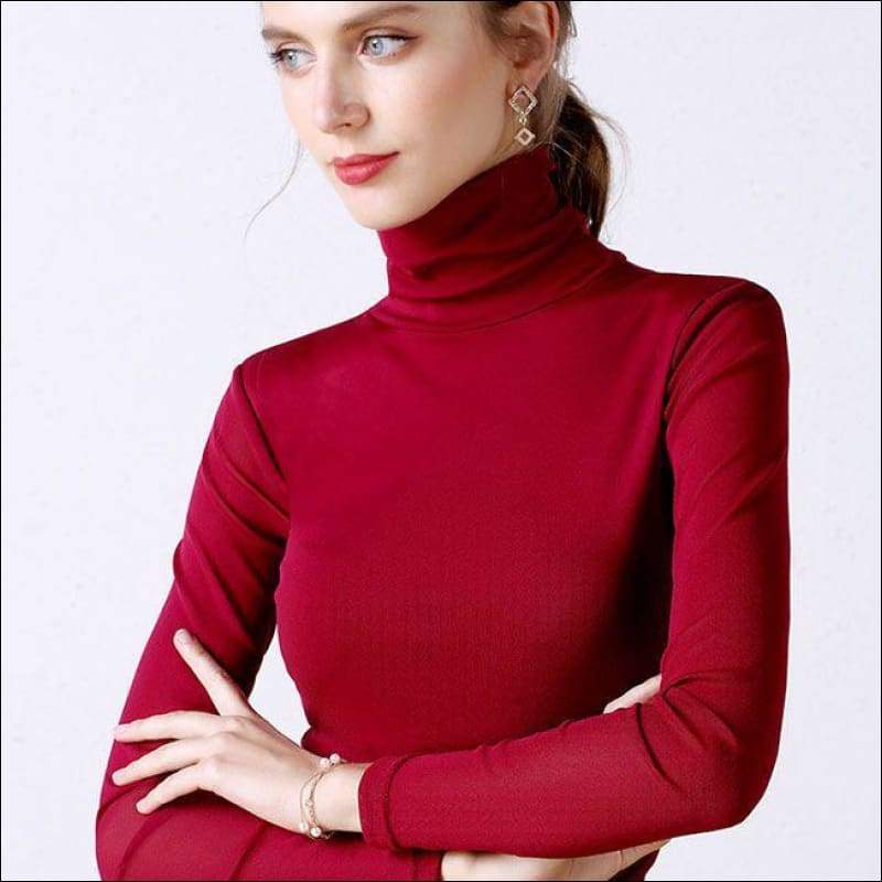 Turtleneck Slim Fit Long Sleeve Basic Top - Petite Tops